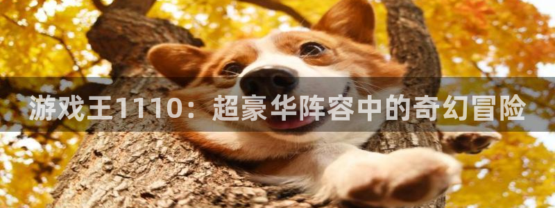高德娱乐什么意思：游戏王1110：超豪华阵容中的奇幻冒险