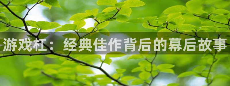 高德娱乐平台注册开户：游戏杠：经典佳作背后的幕后故事