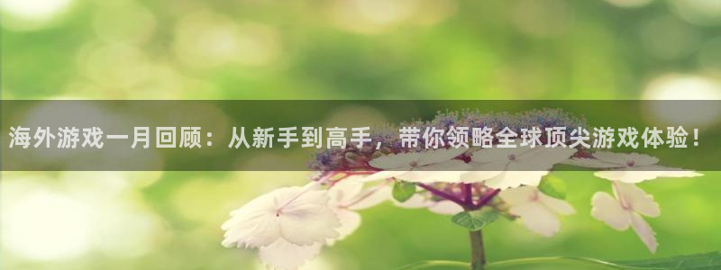 高德娱乐测速登陆：海外游戏一月回顾：从新手到高手，带你领略全