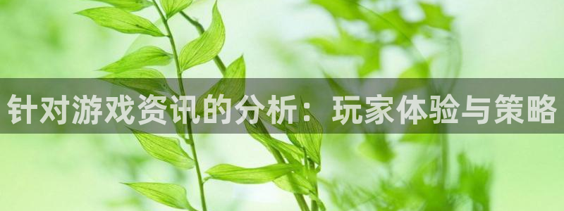高德娱乐怎么注册：针对游戏资讯的分析：玩家体验与策略