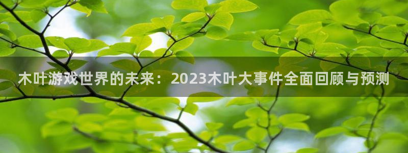 高德娱乐2首页登录：木叶游戏世界的未来：2023木叶大事件全