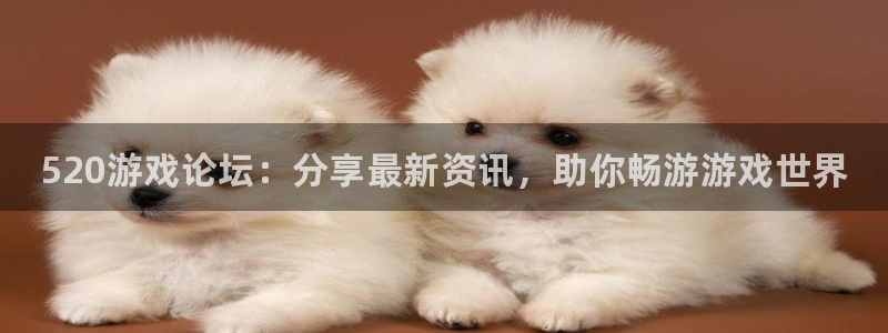 高德娱乐平台注册开户：520游戏论坛：分享最新资讯，助你畅游