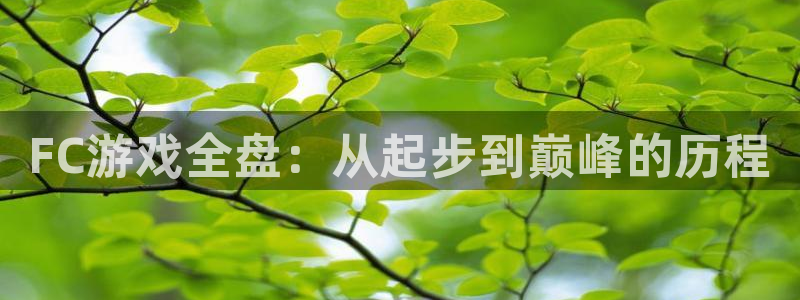 高德娱乐网页登录入口官网：FC游戏全盘：从起步到巅峰的历程