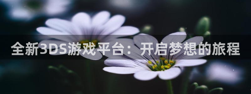 高德娱乐平台负责人